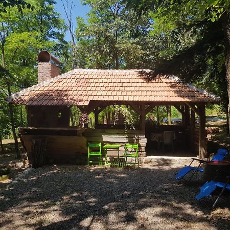 Konaciste Mali Izvor Villa Boljevac Ngoại thất bức ảnh