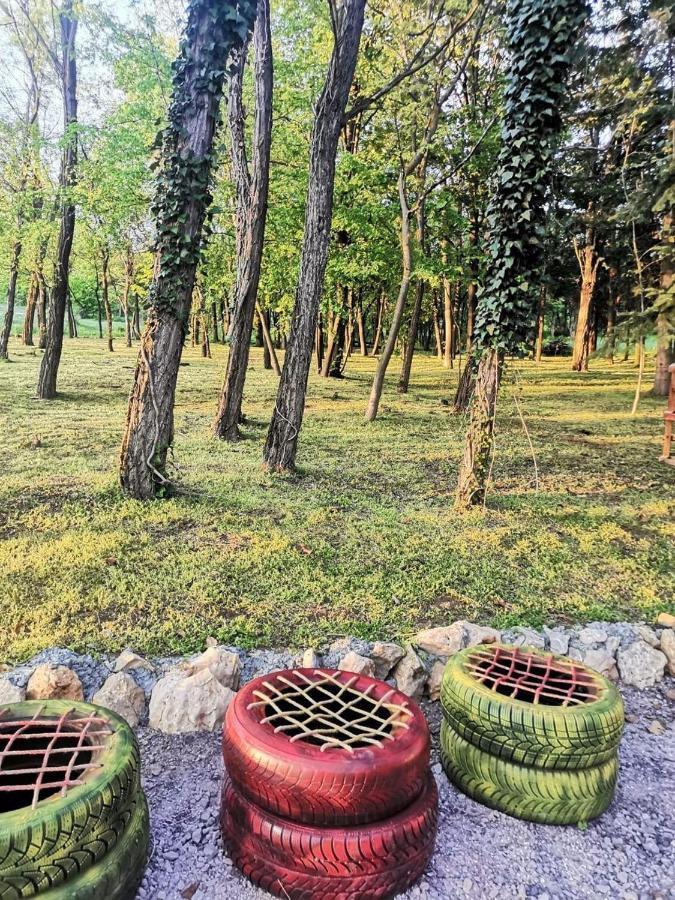 Konaciste Mali Izvor Villa Boljevac Ngoại thất bức ảnh