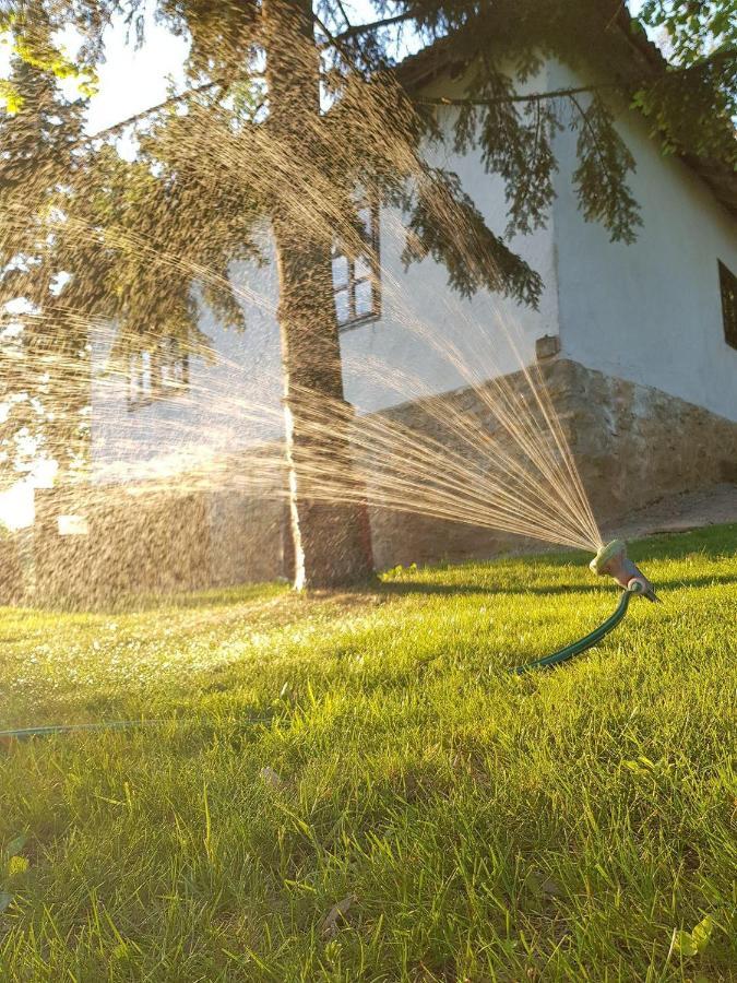 Konaciste Mali Izvor Villa Boljevac Ngoại thất bức ảnh