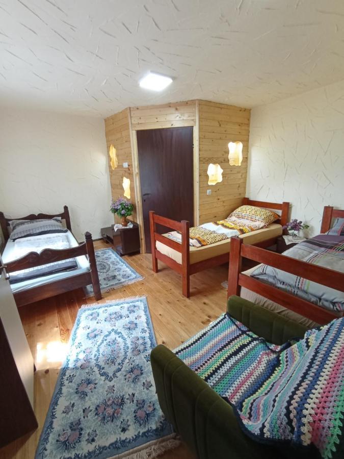 Konaciste Mali Izvor Villa Boljevac Ngoại thất bức ảnh
