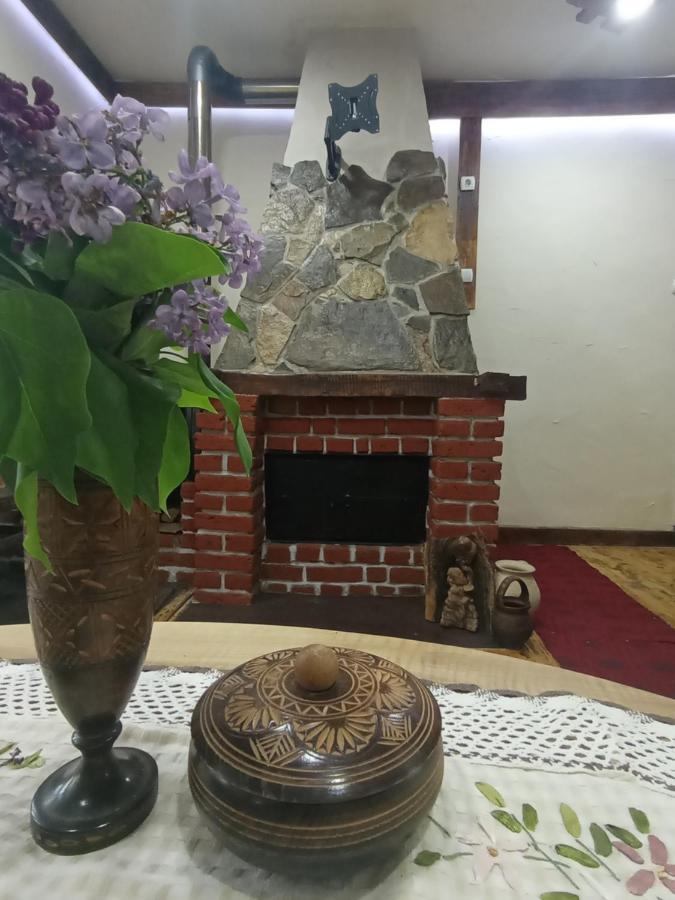 Konaciste Mali Izvor Villa Boljevac Ngoại thất bức ảnh