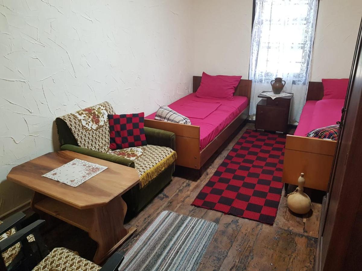 Konaciste Mali Izvor Villa Boljevac Ngoại thất bức ảnh