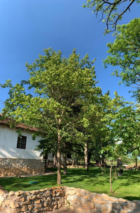 Konaciste Mali Izvor Villa Boljevac Ngoại thất bức ảnh