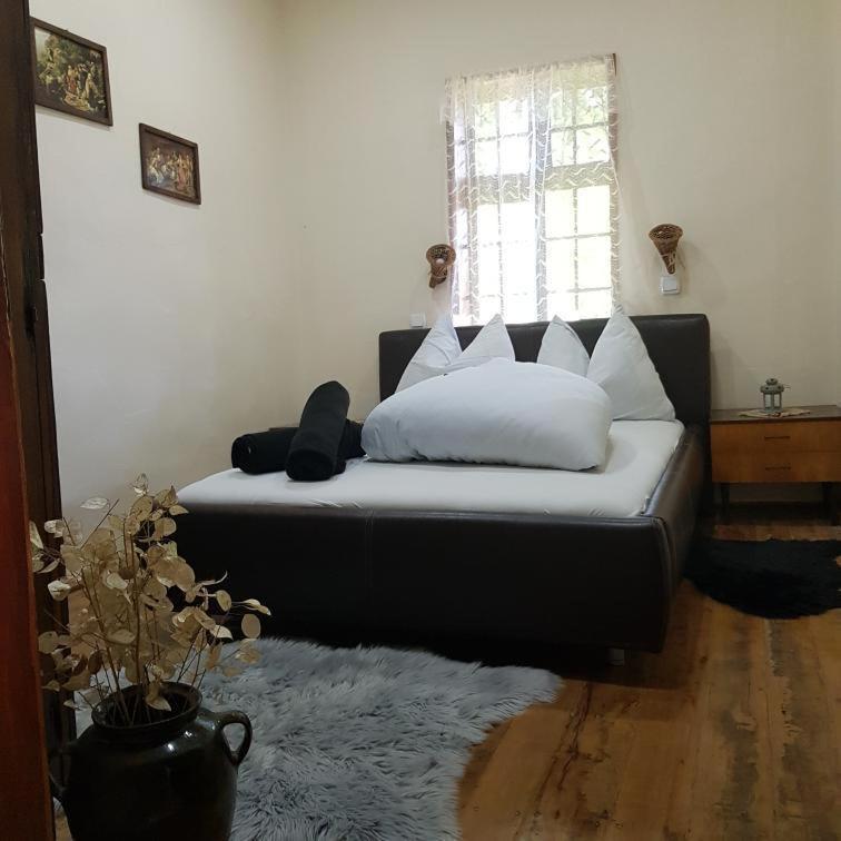 Konaciste Mali Izvor Villa Boljevac Ngoại thất bức ảnh