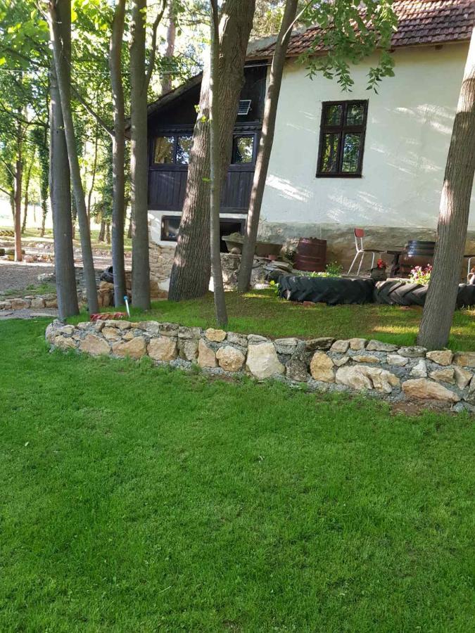 Konaciste Mali Izvor Villa Boljevac Ngoại thất bức ảnh