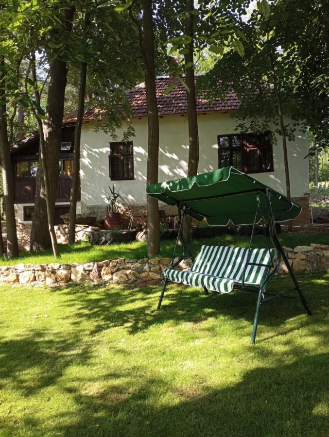 Konaciste Mali Izvor Villa Boljevac Ngoại thất bức ảnh