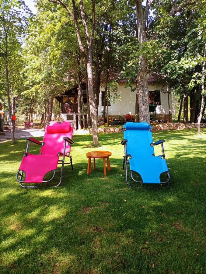 Konaciste Mali Izvor Villa Boljevac Ngoại thất bức ảnh