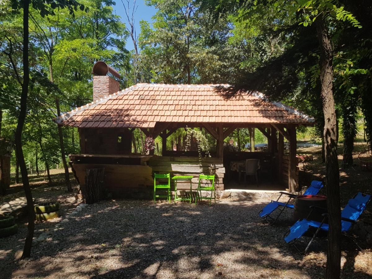 Konaciste Mali Izvor Villa Boljevac Ngoại thất bức ảnh